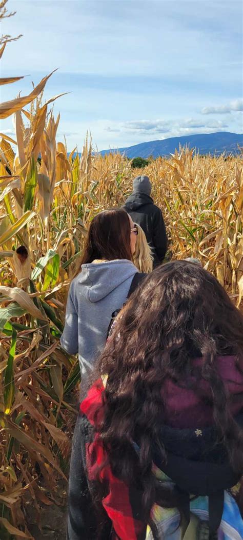 Funky Frugal Mommy: The Biggest Corn Maze In Kelowna!