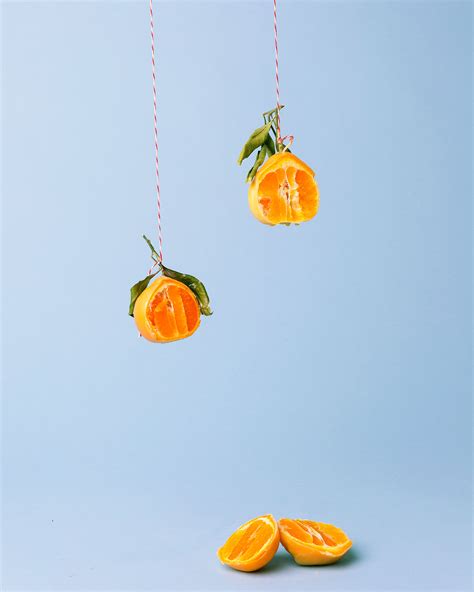 Waxed Fruit on Behance