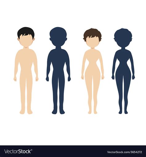 Human body in flat style women men character Vector Image