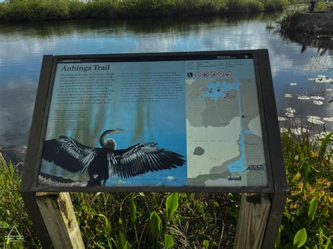 Everglades Anhinga Trail - TRIPS TIPS and TEES