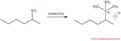 Hofmann Elimination - ChemistryScore