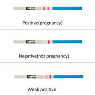 Early Result Home Pregnancy Test Strips Accuracy / Pregnancy Check Kit