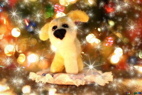 Download free picture Candle gifts Postcard dog holiday background stars blue night Christmas ...