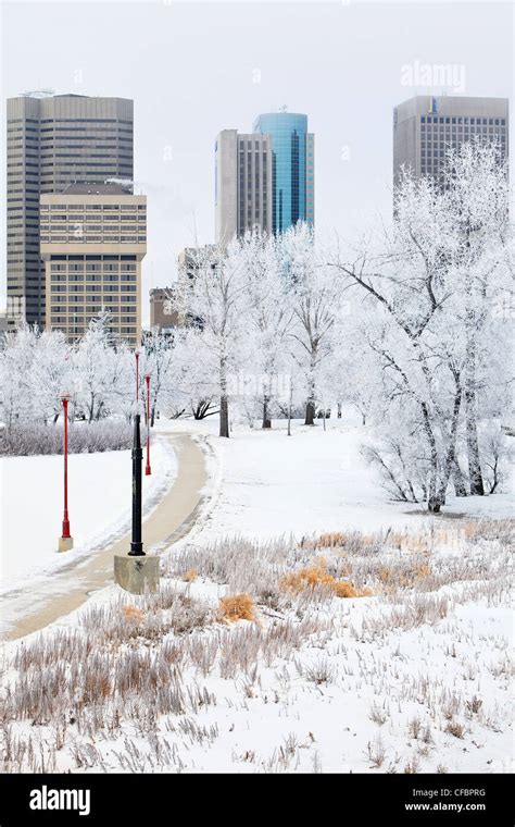 Winnipeg skyline on a scenic winter day. Trees covered in snow and ...