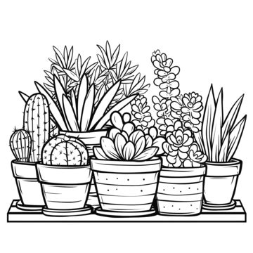 Plants In Pots Drawing For Coloring, Plant, Pot, Line PNG Transparent Image and Clipart for Free ...