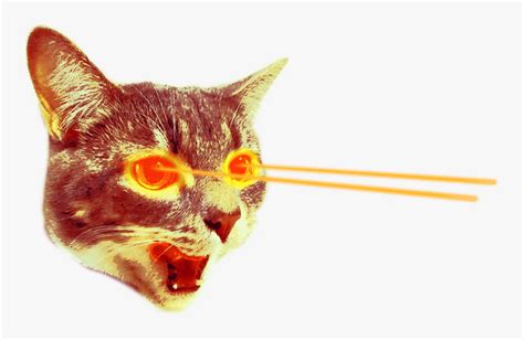 Cat Laser Eyes Png, Transparent Png - kindpng