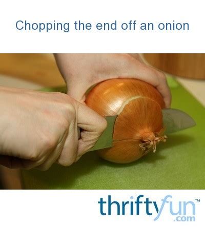 Chopping Onions | ThriftyFun