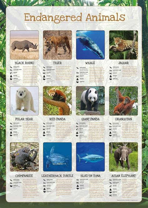 Endangered Animals Poster | Endangered animals activities, Endangered animals, Endangered ...