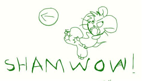 SHAMWOW by Sambabeat96 on DeviantArt