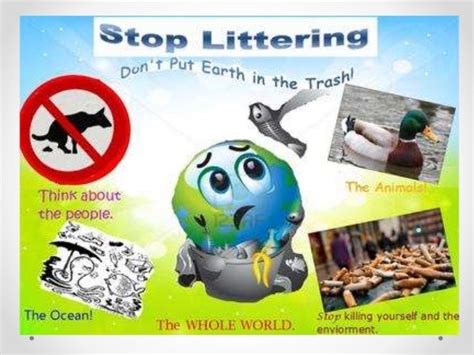 Litter Pollution