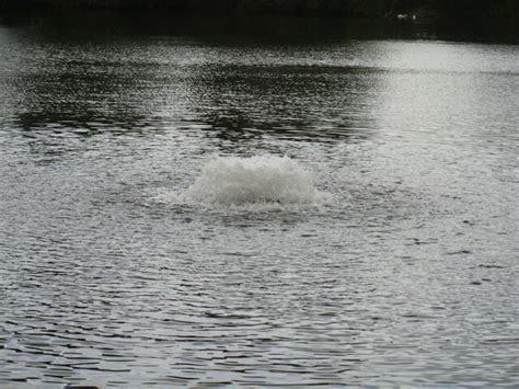 Langford Lakes Nature Reserve [5] © Michael Dibb :: Geograph Britain ...