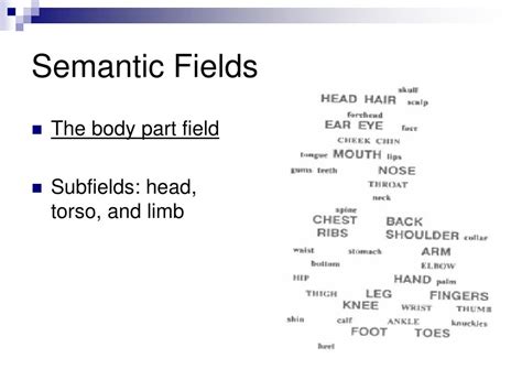 PPT - Lexical Retrieval Processes: Semantic Field Effects PowerPoint ...