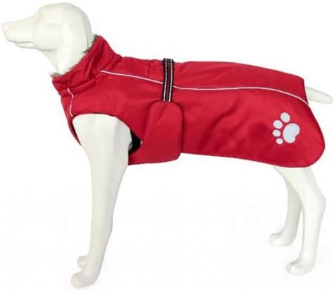 5 Best Waterproof Dog Coats with Chest & Belly Protection [Top Picks]