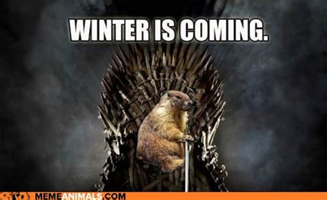 These Groundhog Punxsutawney Phil Memes Will Get You Through The Cold, Bitter Winter He Foresaw