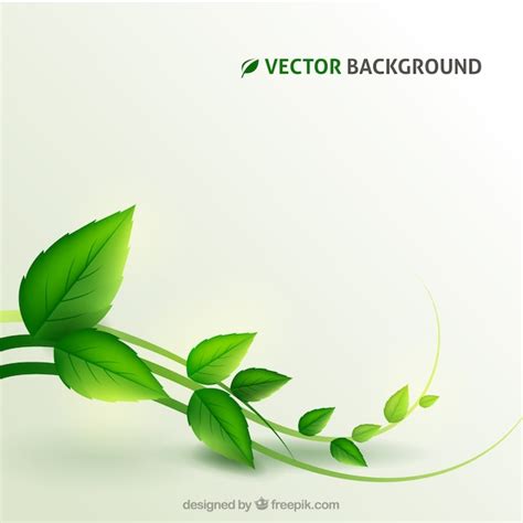 Plant background Vector | Free Download