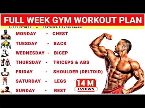 Full Week Gym Workout Plan | Week Schedule For Gym Workout | Buddy Fitness - Exercise At ...