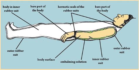 Embalming Techniques for Long-Term Preservation of Bodies - The Journal ...