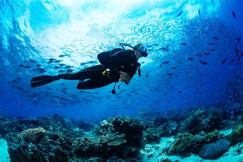 A Guide to Scuba Diving in Tulum – Insider's Tulum