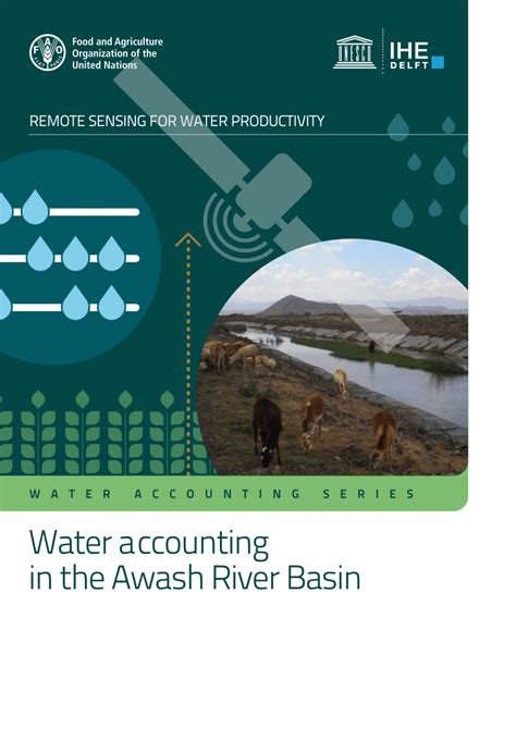 (PDF) Water accounting in the Awash River Basin