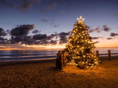 29+ Thousand Christmas Decorations On Beach Royalty-Free Images, Stock Photos & Pictures ...