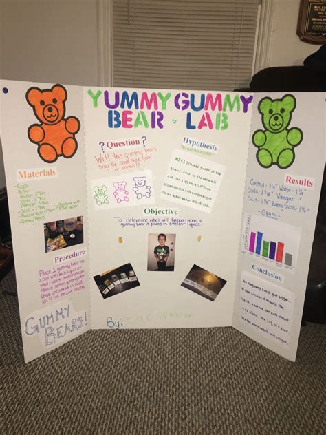 Gummy Bear Science experiment | Kindergarten science fair projects, Science fair projects, Kids ...