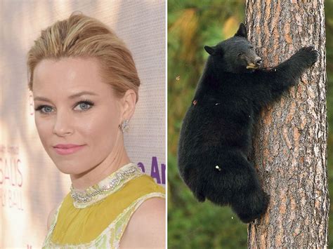 Elizabeth Banks to direct 'Cocaine Bear' movie about a real-life bear that ate 70 pounds of cocaine