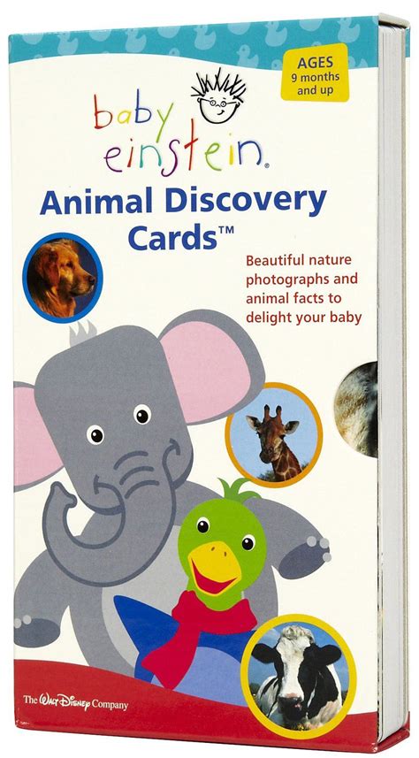 Baby Einstein: Animal Discovery Cards | Baby einstein, Discovery card, Animal facts