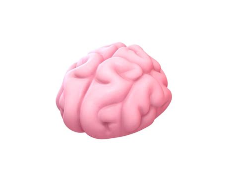 3D brain cartoon model - TurboSquid 1456152