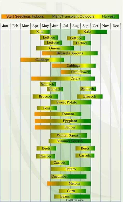 Zone 10A Planting Guide - Plant Ideas