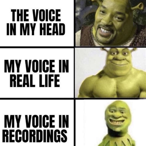 Voices in my head : r/memes