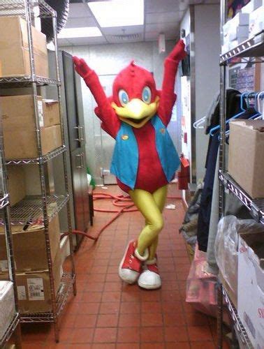 #RedRobin #bird #restaurant #mascot #costume | Mascot, Mascot costumes, Costumes