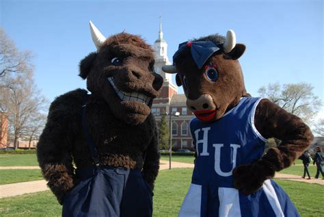 Friends of Howard Football | Howard university, University, Mascot