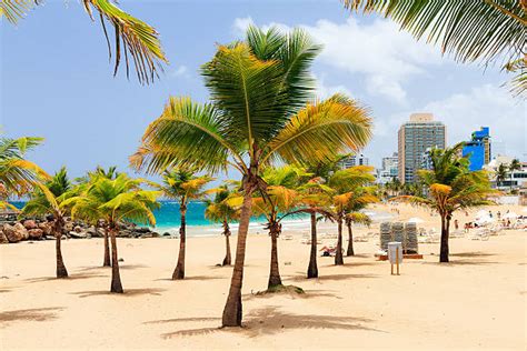 Condado Beach Stock Photos, Pictures & Royalty-Free Images - iStock