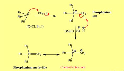 Phosphorus ylide: Definition,6 types, synthesis, useful application - Chemistry Notes