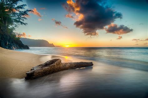 2560x1700 Driftwood On Beach At Sunset On North Shore Of Kauai 8k Chromebook Pixel ,HD 4k ...