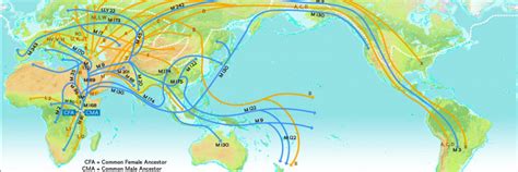 Ethnicity and Ancient Origins - MIXED GENES