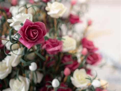 Vintage Rose stock image. Image of decoration, floral - 116507299