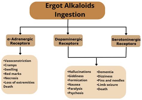 Molecules | Free Full-Text | Ergot Alkaloids on Cereals and Seeds: Analytical Methods ...