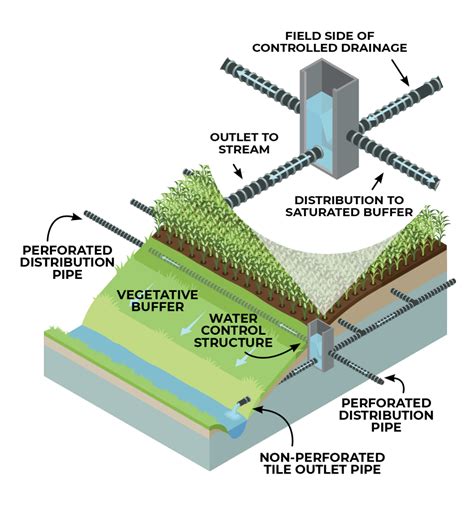 Saturated Buffers in Northwest Ohio: Reducing Field Drainage for ...