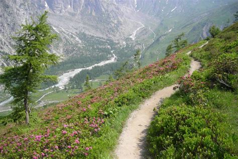 Courmayeur - Delicious Italy