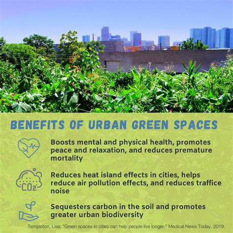 The Importance of Urban Green Spaces - Denver Urban Gardens