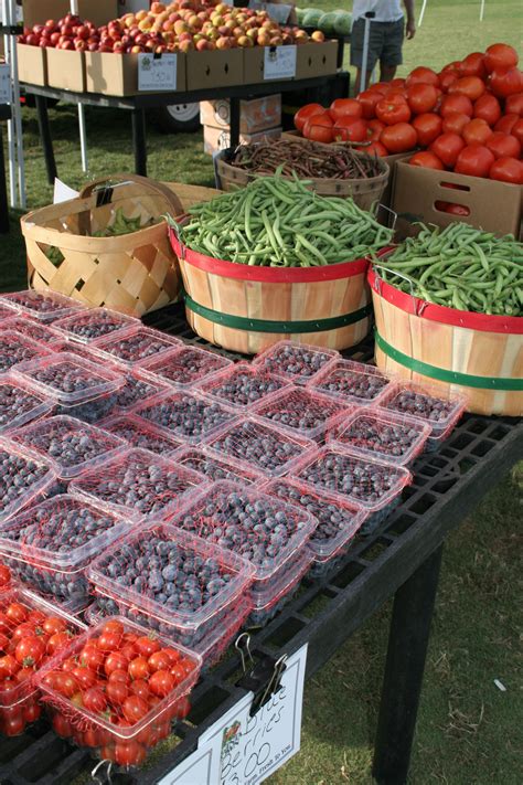 Chesapeake Bay Farmers' Markets - Marinalife