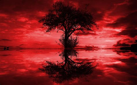 Dark Red Tree Wallpaper - pic-vomitory