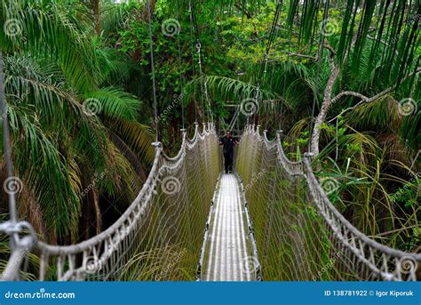 Lekki canopy walkway editorial photography. Image of meters - 138781922