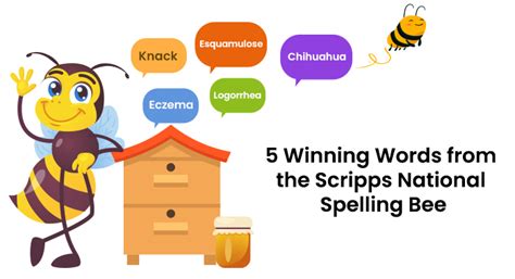 5 Winning Words from the Scripps National Spelling Bee