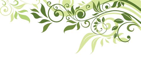 Download Flower Leaf Spring Illustration Banner Border Clipart PNG Free | FreePngClipart