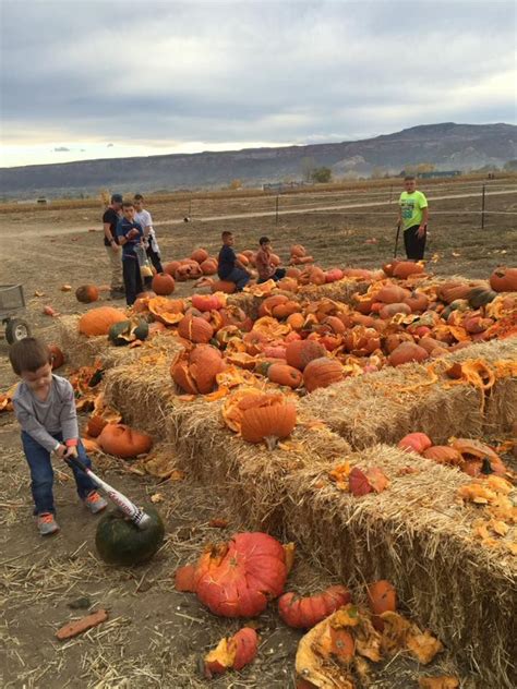 38 Best Pumpkin Farms Near You to Visit With Your Family This Fall ...