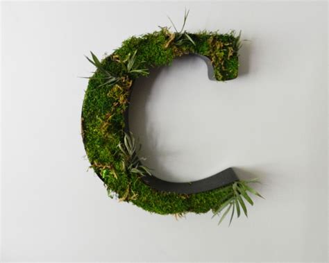 Custom Moss Letter | Moss letters, Lettering, Etsy