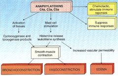 Anaphylatoxins