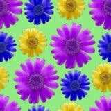 Seamless Texture With Marigold Flowers Stock Vector - Illustration of ...